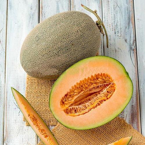 甜瓜爆料炮台视频下载安装,轻松获取热门内容 第1张 甜瓜爆料炮台视频下载安装,轻松获取热门内容 第1张