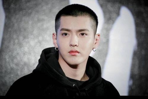 最新八卦爆料杨紫肖战  第1张