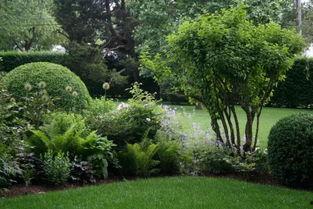 园林绿化爆料视频大全,揭秘美丽背后的秘密  第1张